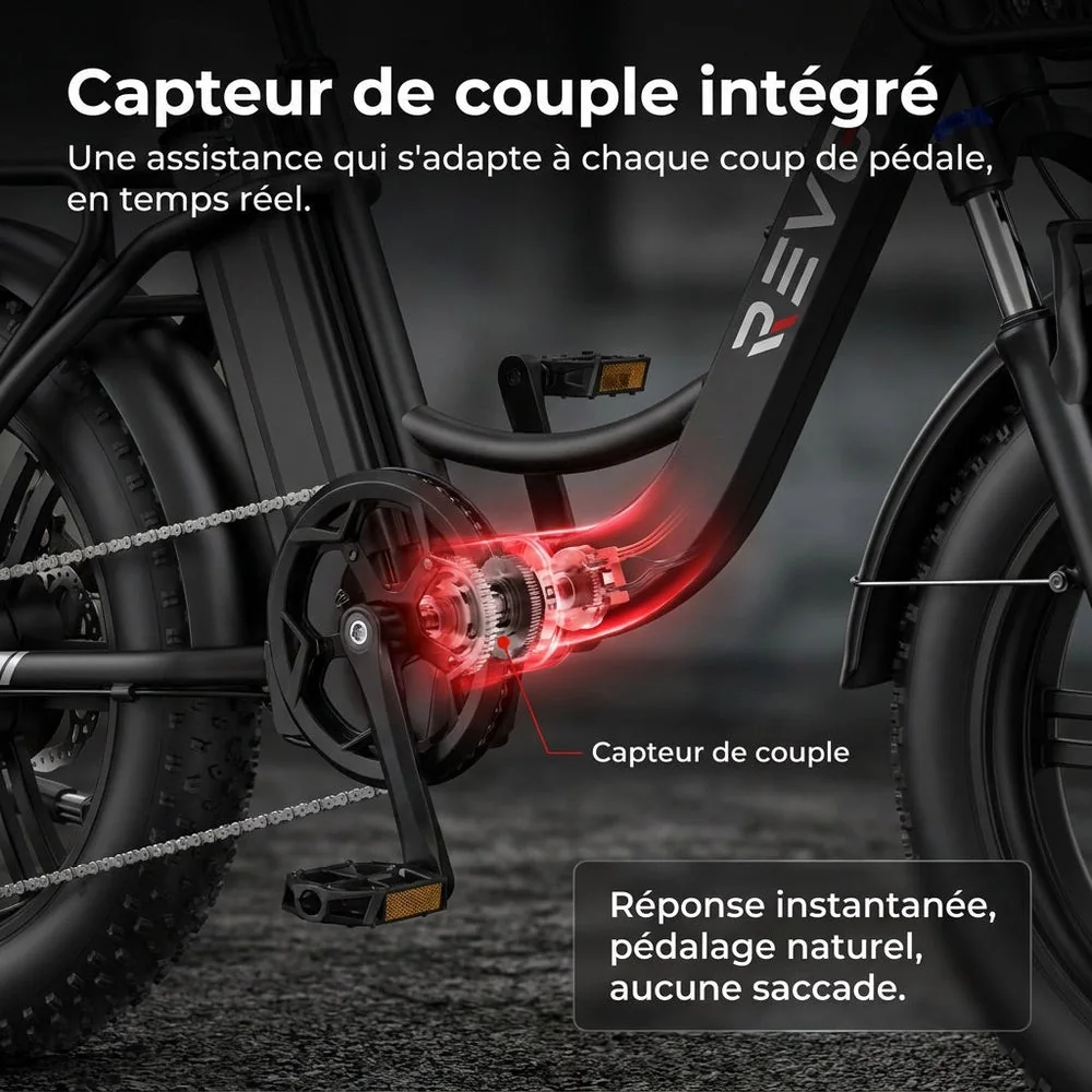 Vélo Électrique Fat Bike REVO Terra Boost – 250 W – Autonomie jusqu’à 126 km – Batterie 48 V 13 Ah – Couple 75 Nm – Pneus 20" x 4" - 5